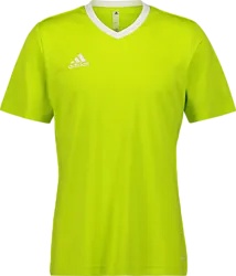 358910108101 ADIDAS Ent22 Jsy Tee Jr 358910108101 ADIDAS Ent22 Jsy Tee Jr Standard Small1x1