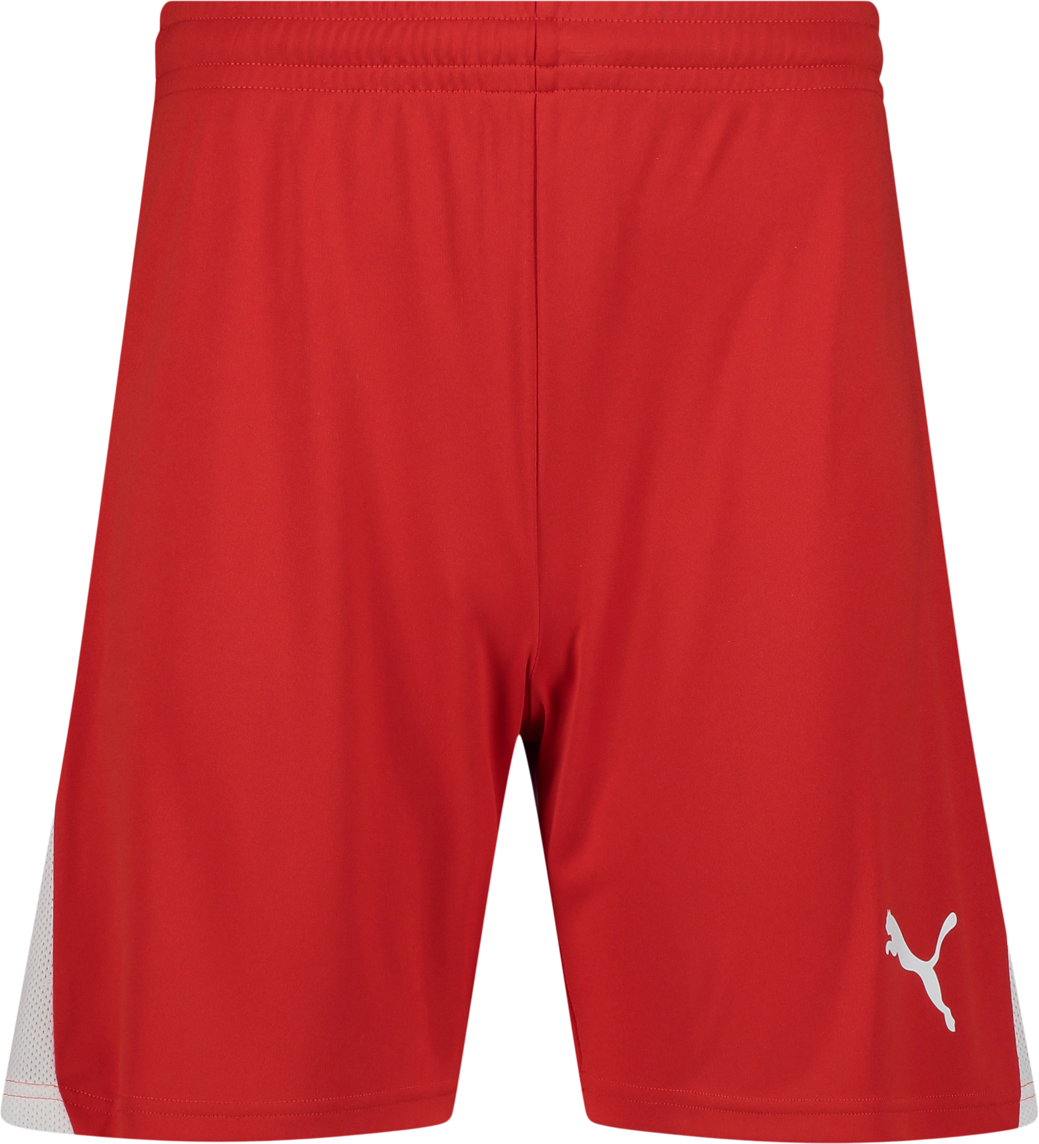 
PUMA, 
TEAMLIGA26 SHORTS JR, 
Detail 1
