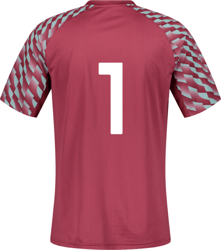 PUMA, TEAMLIGA26 JERSEY