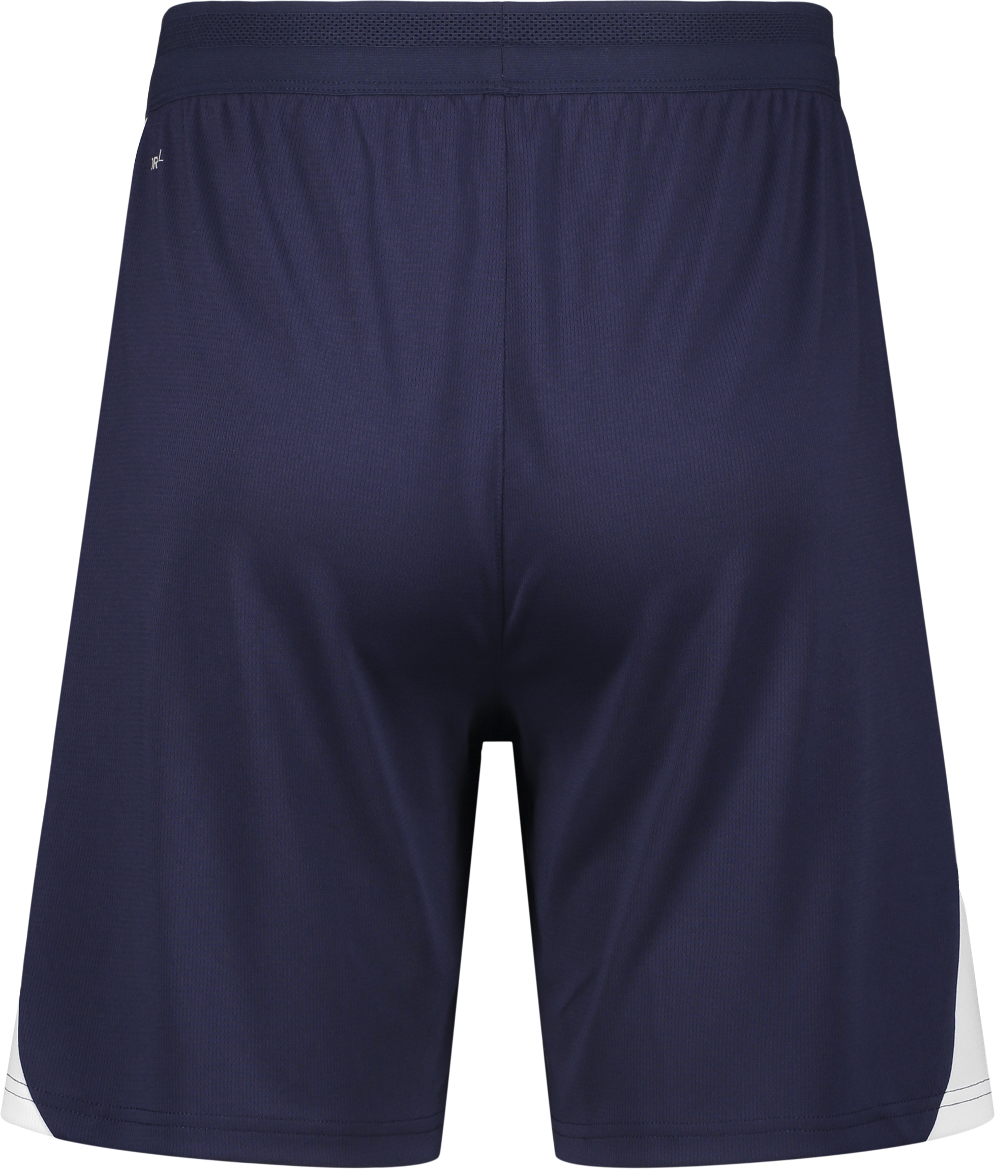 PUMA, TEAMFINAL26 TRAINING SHORTS