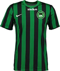 326367106101 NIKE Stripe Div Iv Jsy Jr 326367106101 NIKE Stripe Div Iv Jsy Jr Standard Small1x1