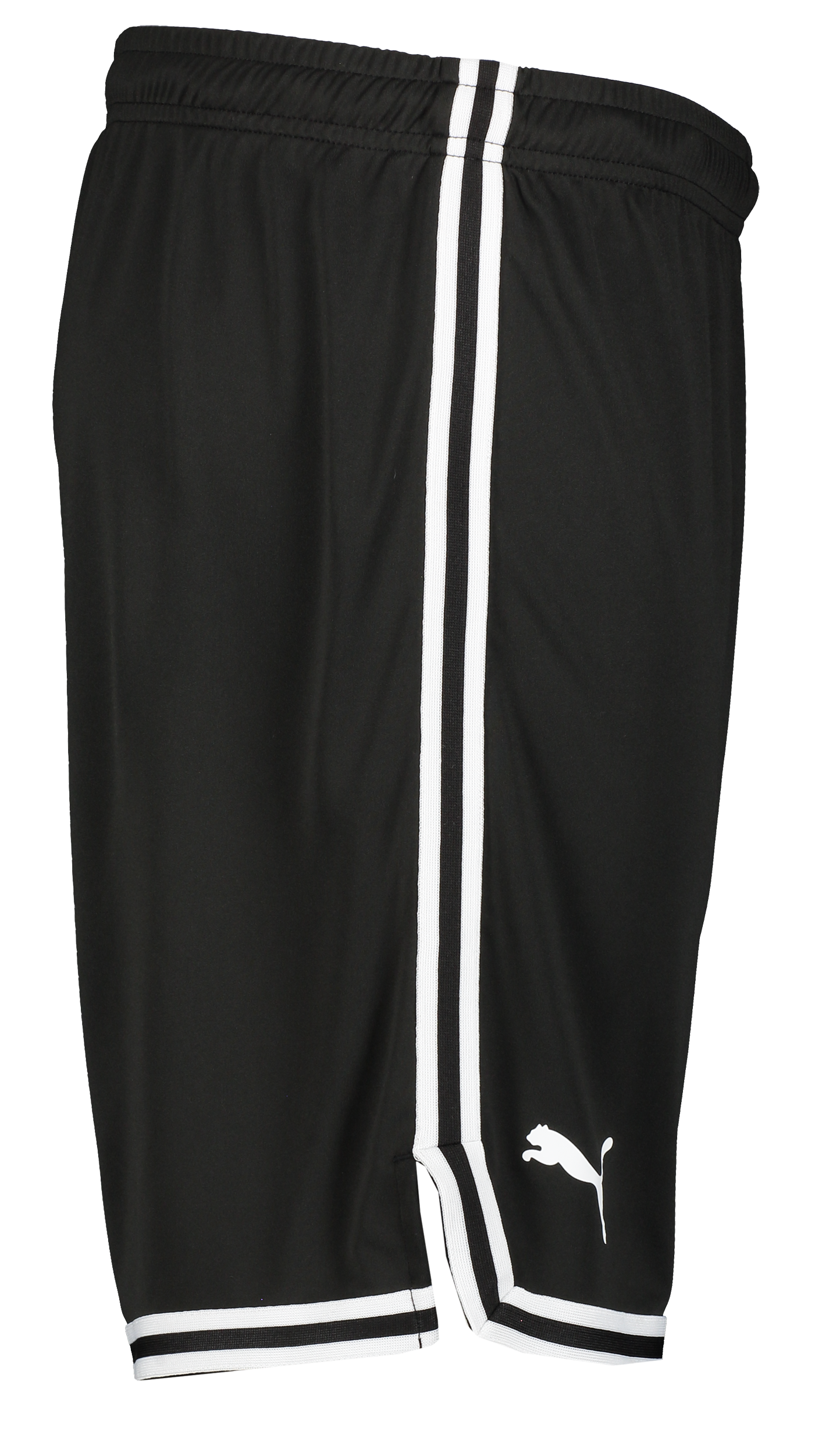 PUMA, Hoops Team Game Short