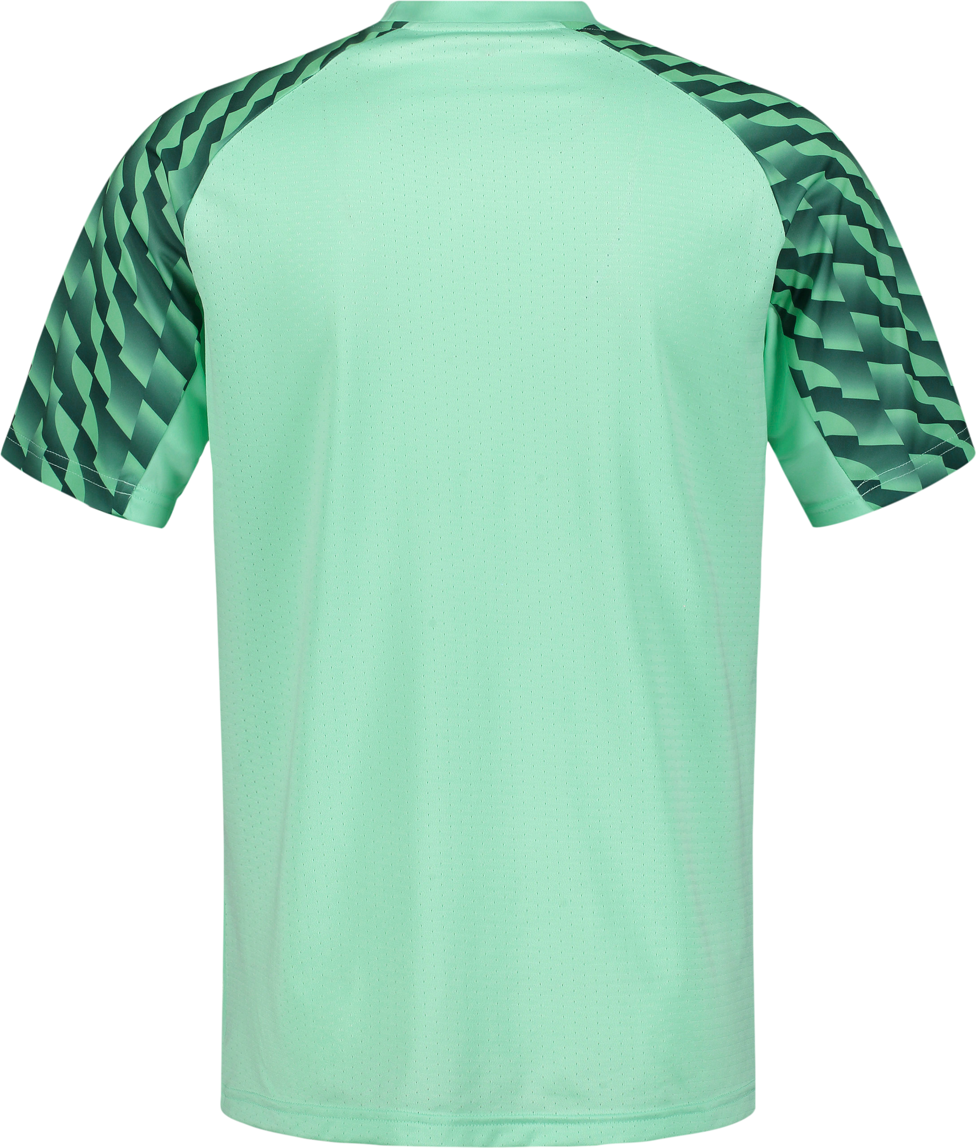 PUMA, TEAMLIGA26 JERSEY JR