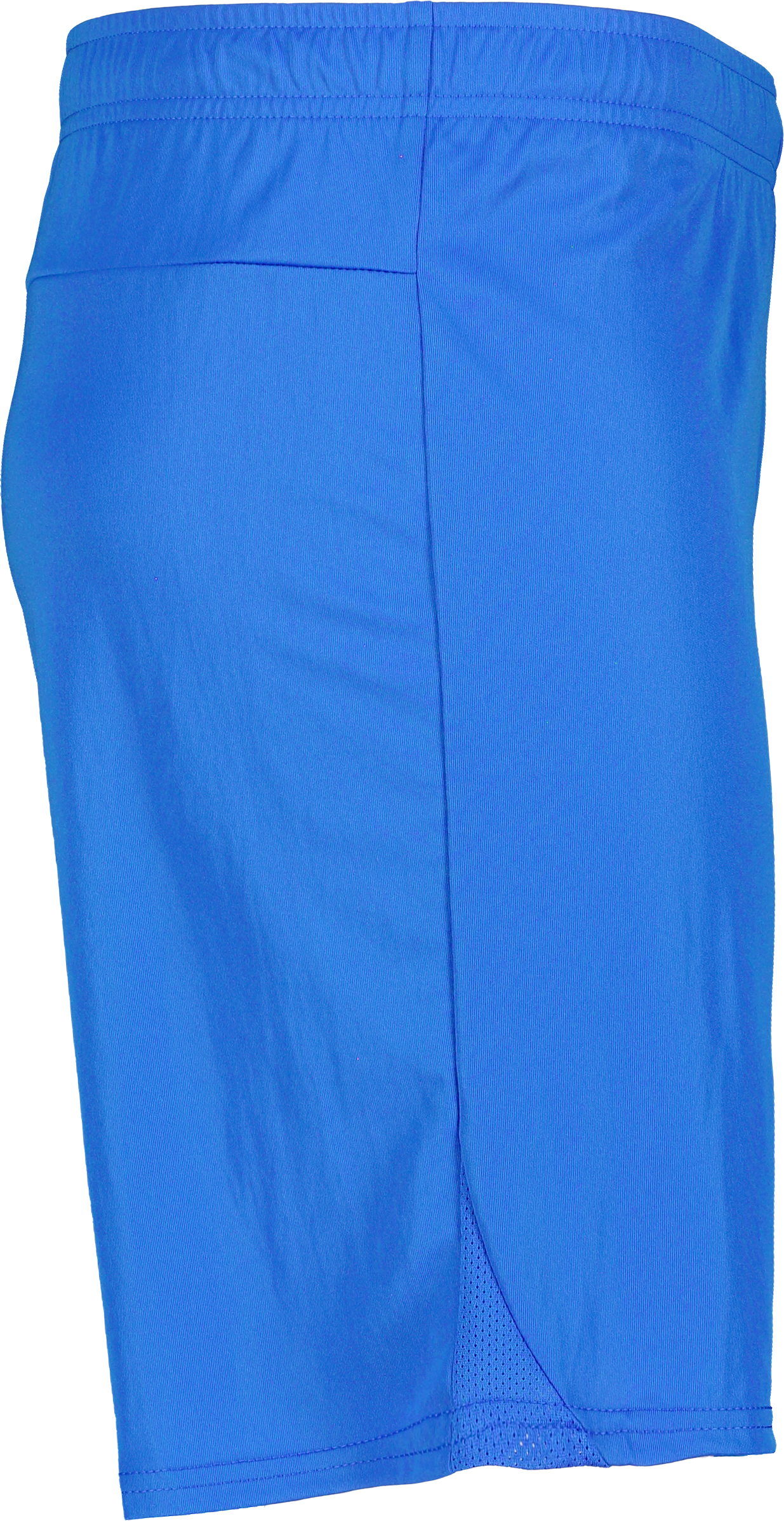 PUMA, T Goal Shorts
