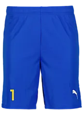 391942102101 PUMA T Goal Shorts 391942102101 PUMA T Goal Shorts Standard Small1x1