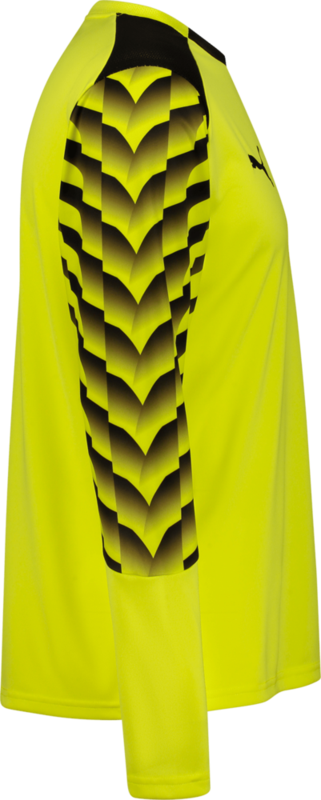 PUMA, TEAMLIGA26 GK JERSEY LS JR