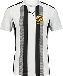360819103101 PUMA T Liga Striped Jsy 360819103101 PUMA T Liga Striped Jsy Standard Small1x1