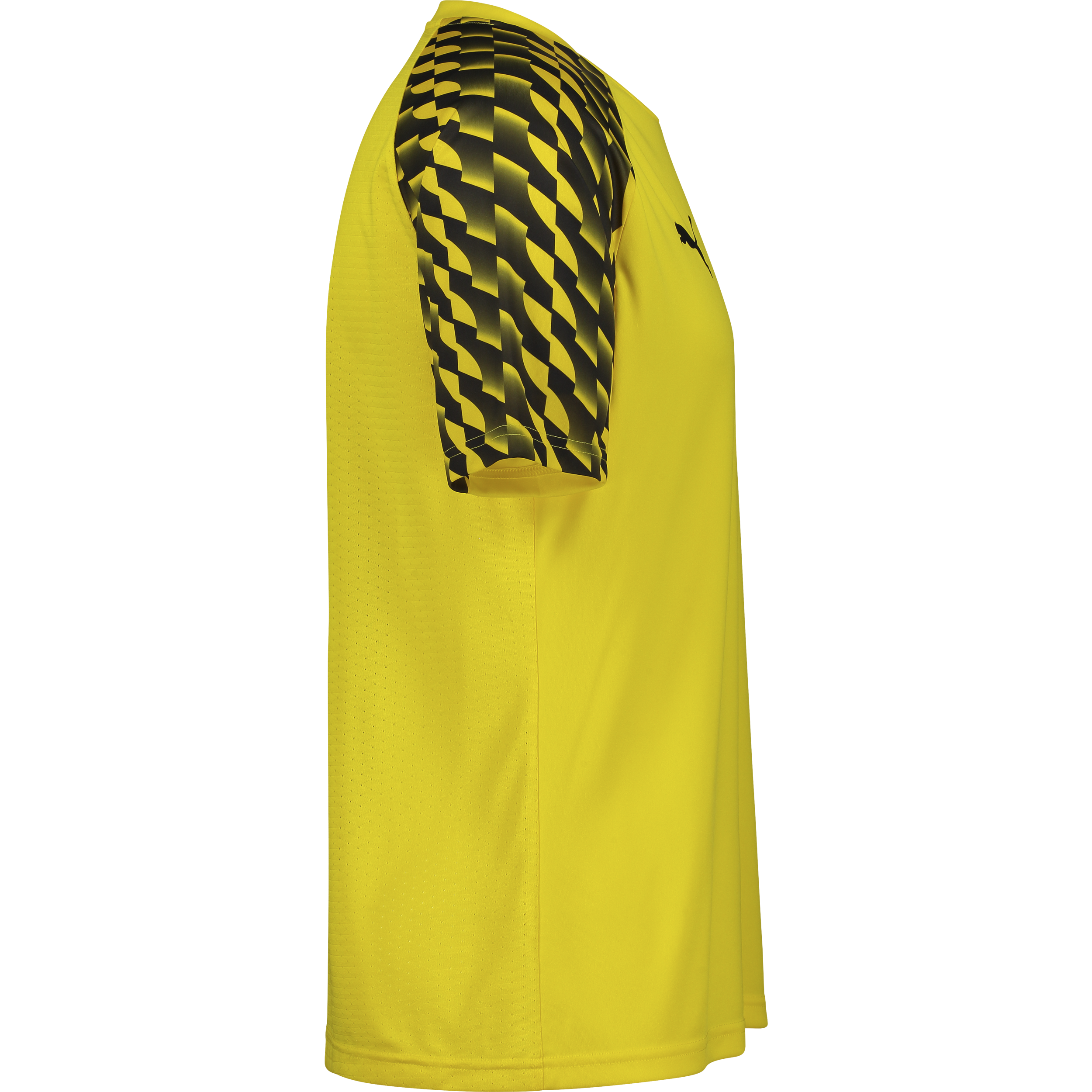 PUMA, TEAMLIGA26 JERSEY