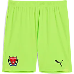 391942111101 PUMA T Goal Shorts 391942111101 PUMA T Goal Shorts Standard Small1x1