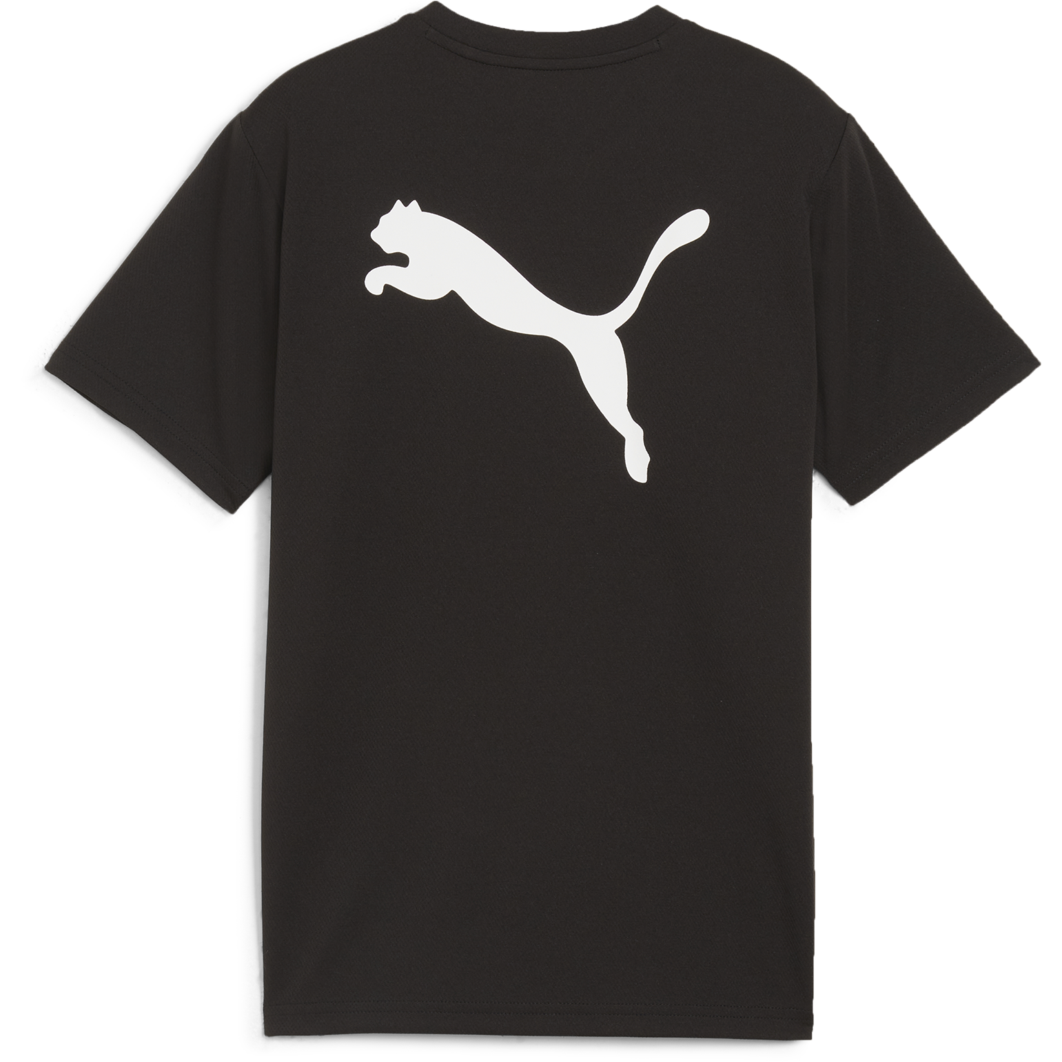 PUMA, Teamrise Logo Jersey Jr