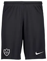 298936101101 NIKE Park III Short 298936101101 NIKE Park III Short Standard Small1x1