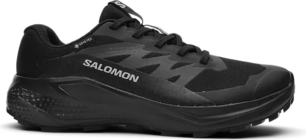 SALOMON W Альфаглайд Gtx