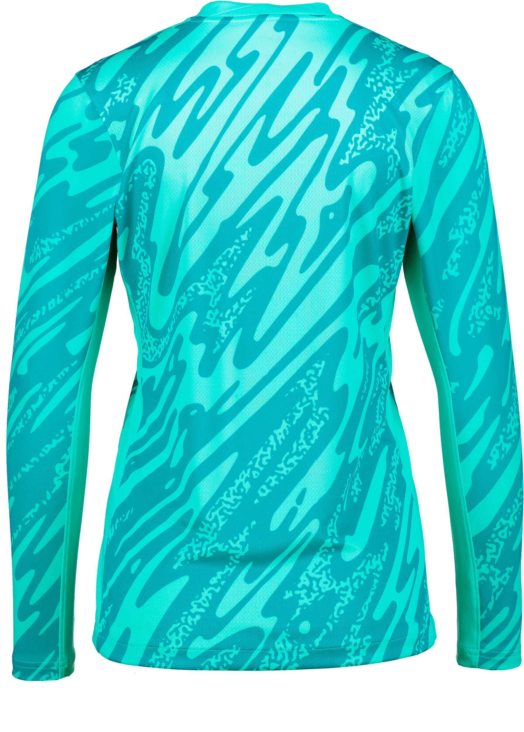 NIKE, Gardien V Gk Ls Jsy W