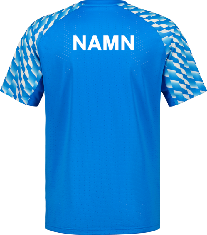 PUMA, TEAMLIGA26 JERSEY