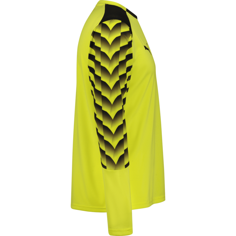 PUMA, TEAMLIGA26 GK JERSEY LS