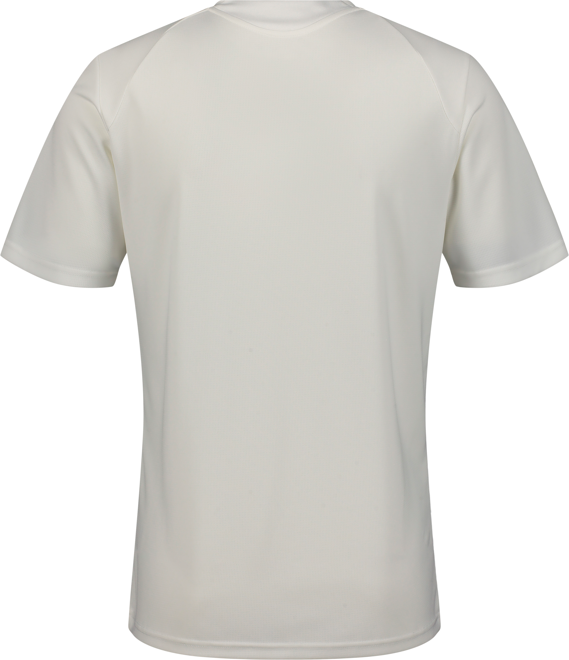 PUMA, TEAMFINAL26 TRAINING JERSEY