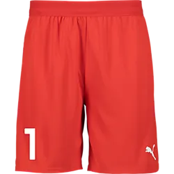 404665101101 PUMA Teamcup Shorts 404665101101 PUMA Teamcup Shorts Standard Small1x1