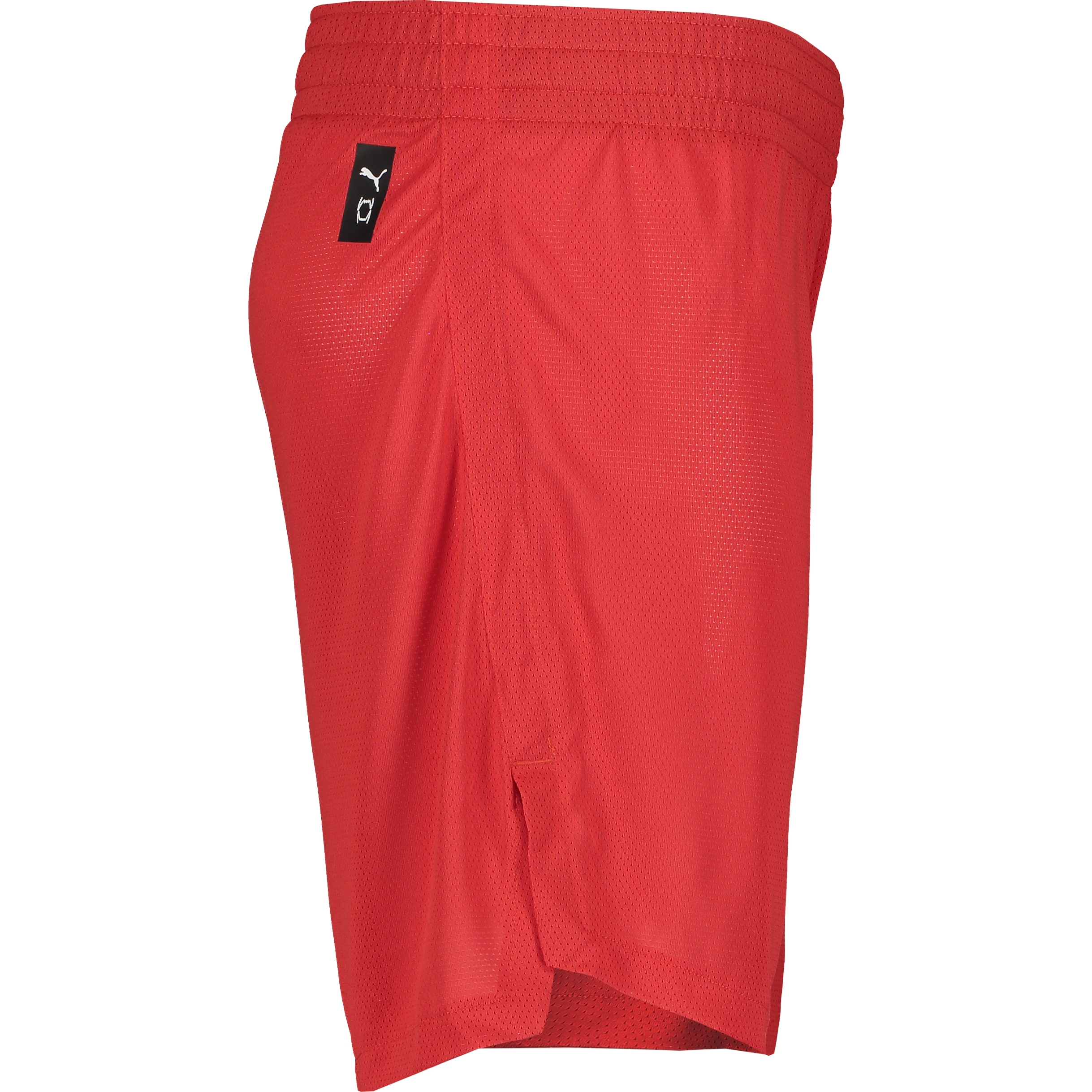 PUMA, TEAMJAWS PRACTICE SHORTS JR