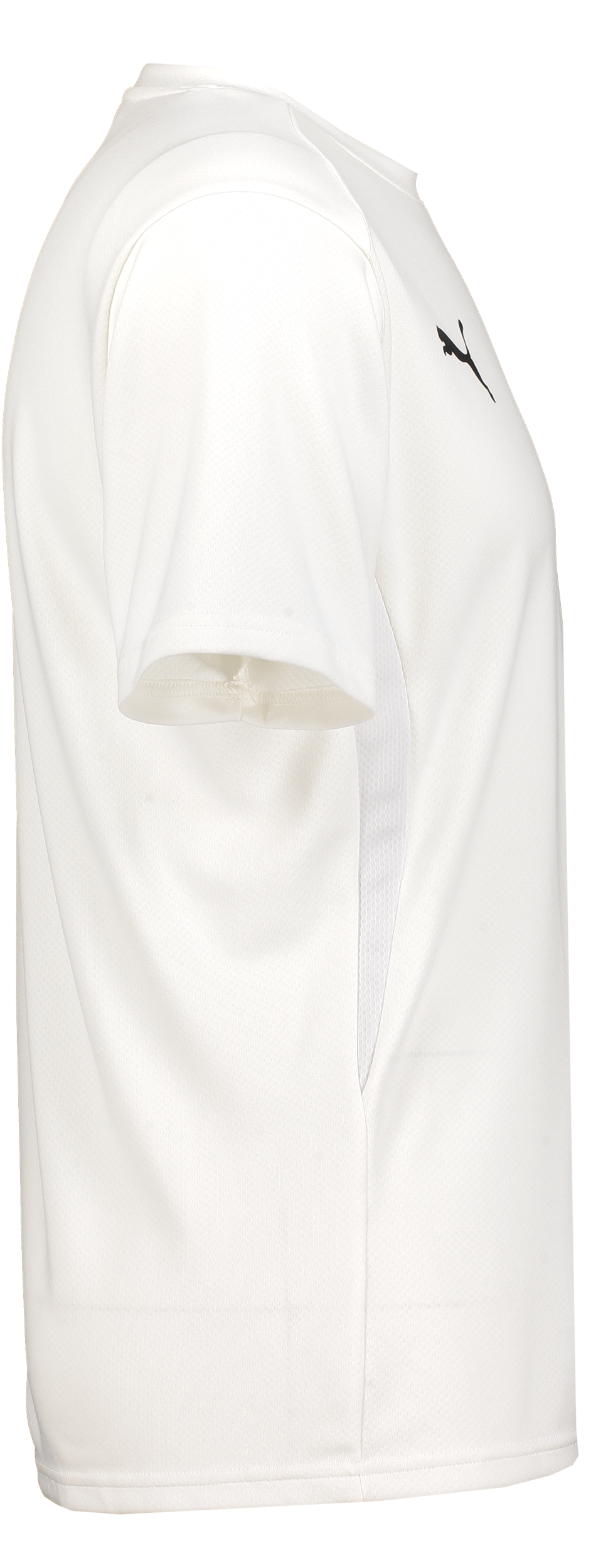 PUMA, T Goal Trg Jsy Jr