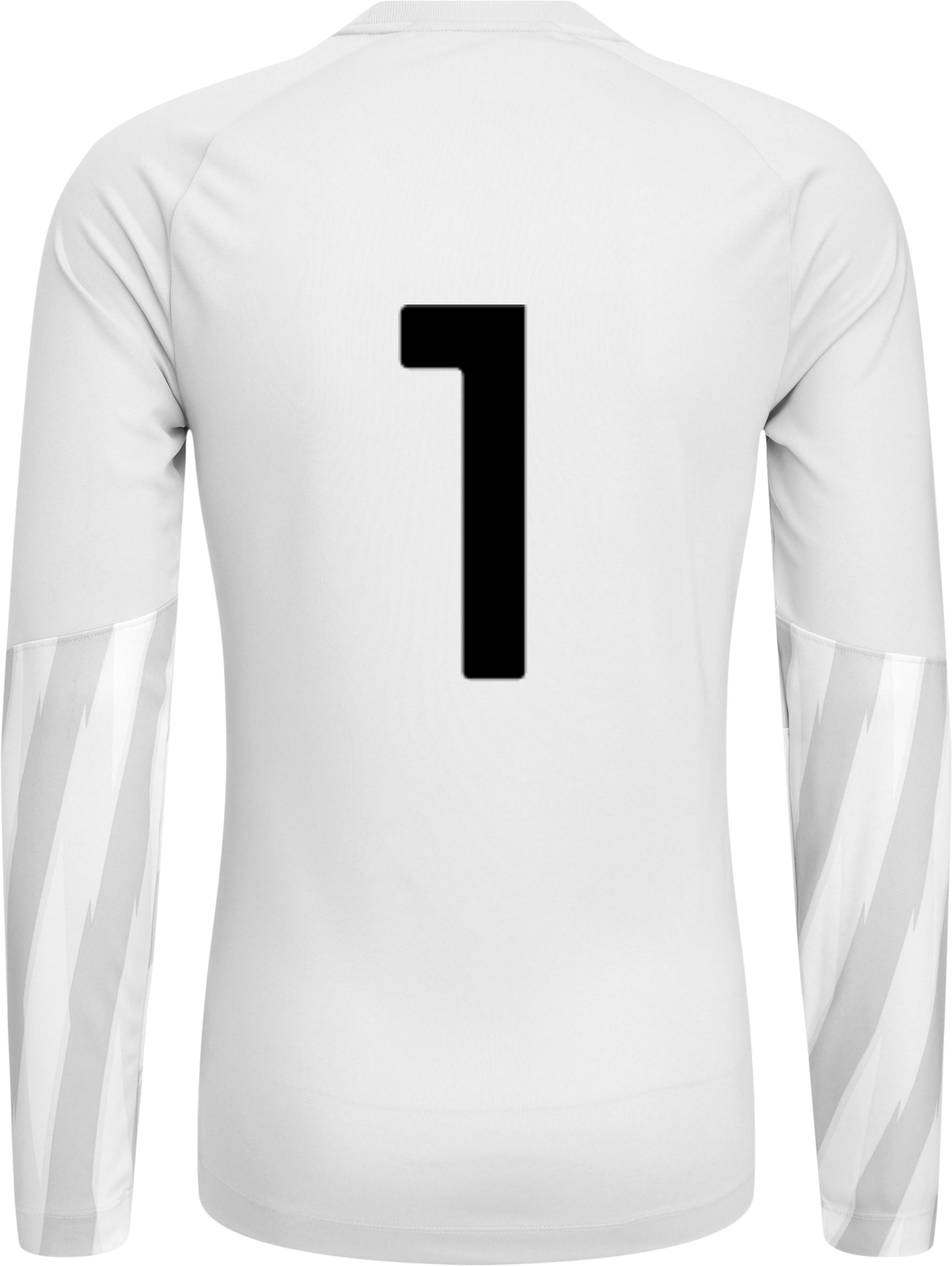 NIKE, PARK V GK LS JSY JR