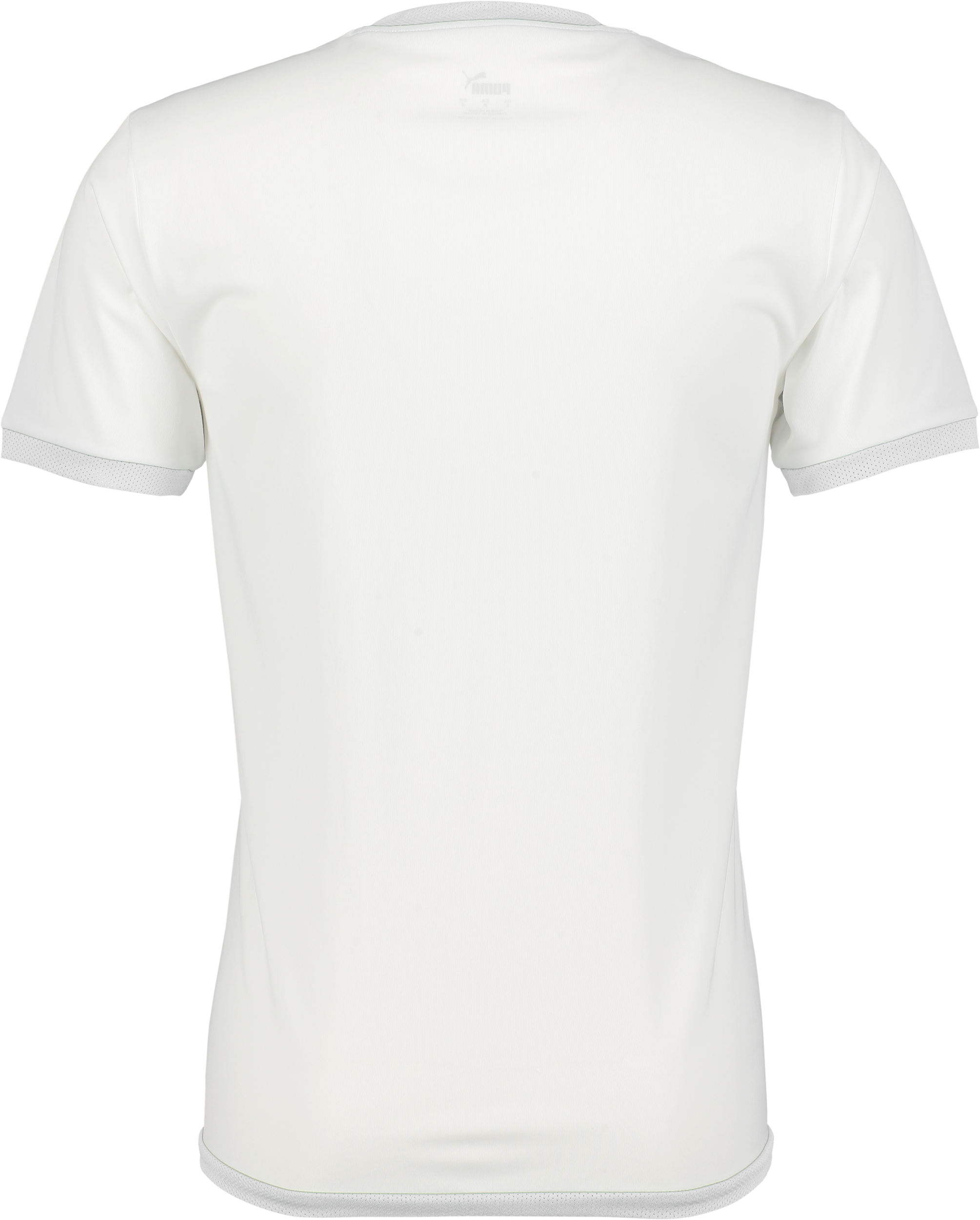 PUMA, T Liga Ss Jsy Jr