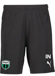391942103101 PUMA T Goal Shorts 391942103101 PUMA T Goal Shorts Standard Small1x1