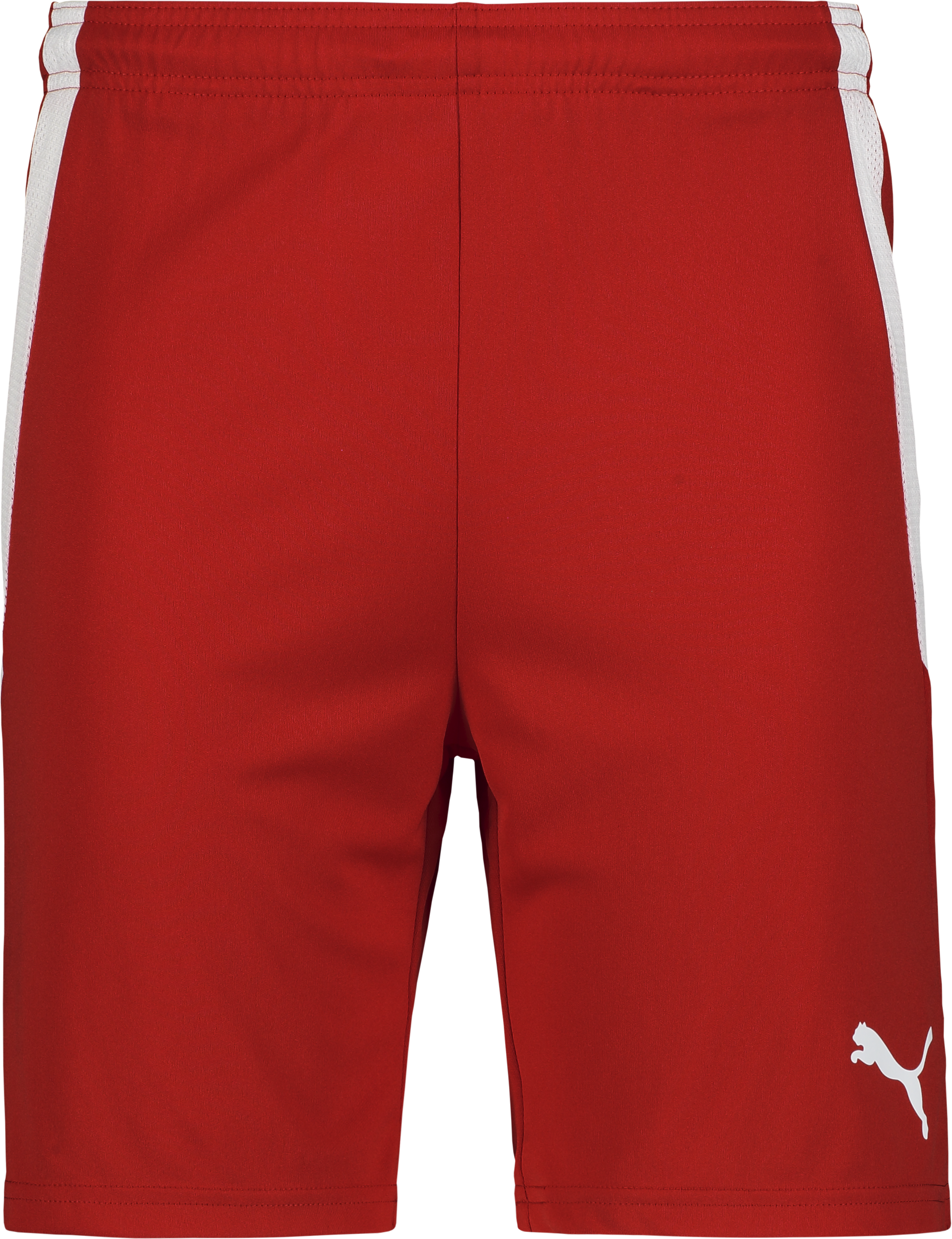 
PUMA, 
T Liga Shorts, 
Detail 1
