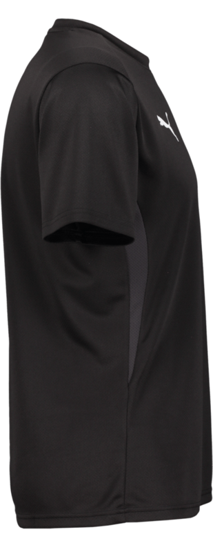 PUMA, T Goal Trg Jsy