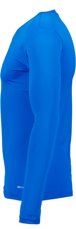 PUMA, T Goal Bl Ls Jsy Jr