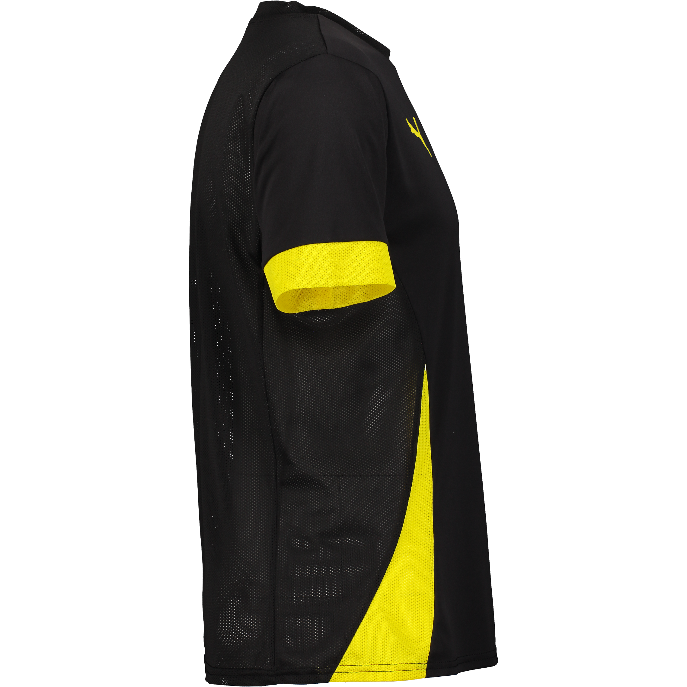 PUMA, T Goal Matchday Jsy Jr