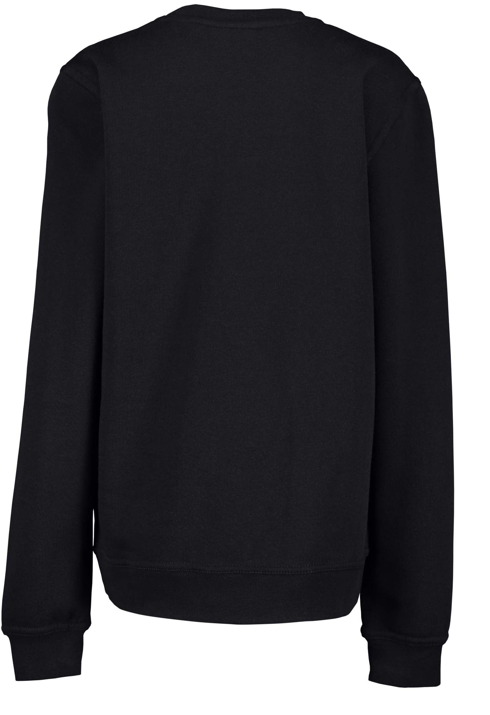 CLIQUE, Basic Round N Jr