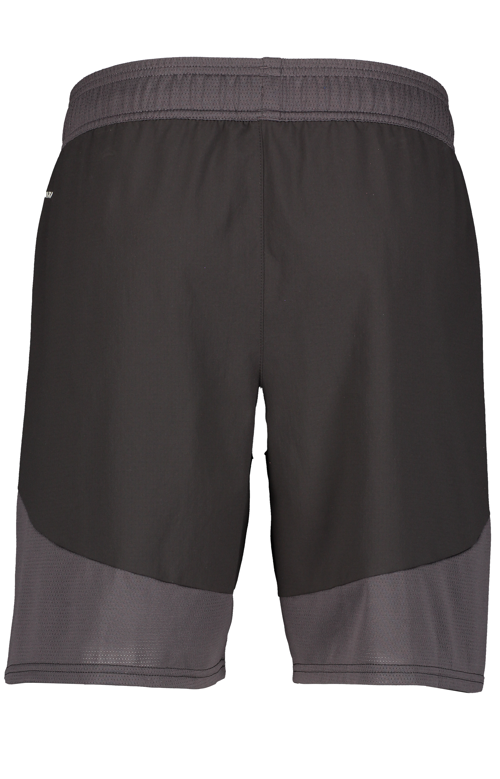 PUMA, T Final Shorts