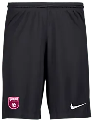 298936101101 NIKE Park III Short 298936101101 NIKE Park III Short Standard Small1x1