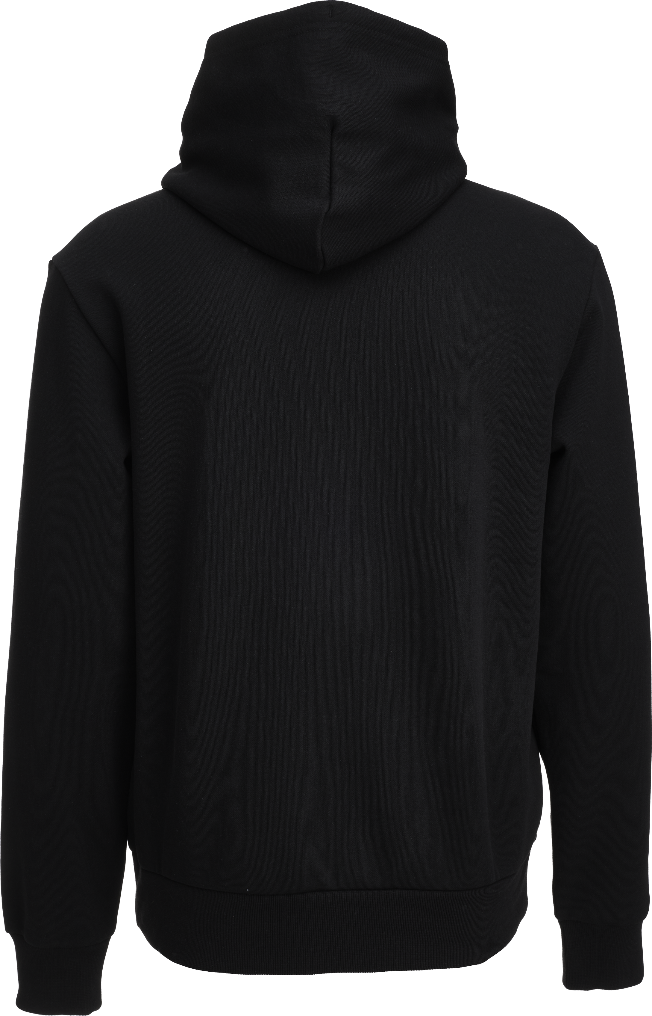 CHAMPION, HOODED SWEATSHIRT