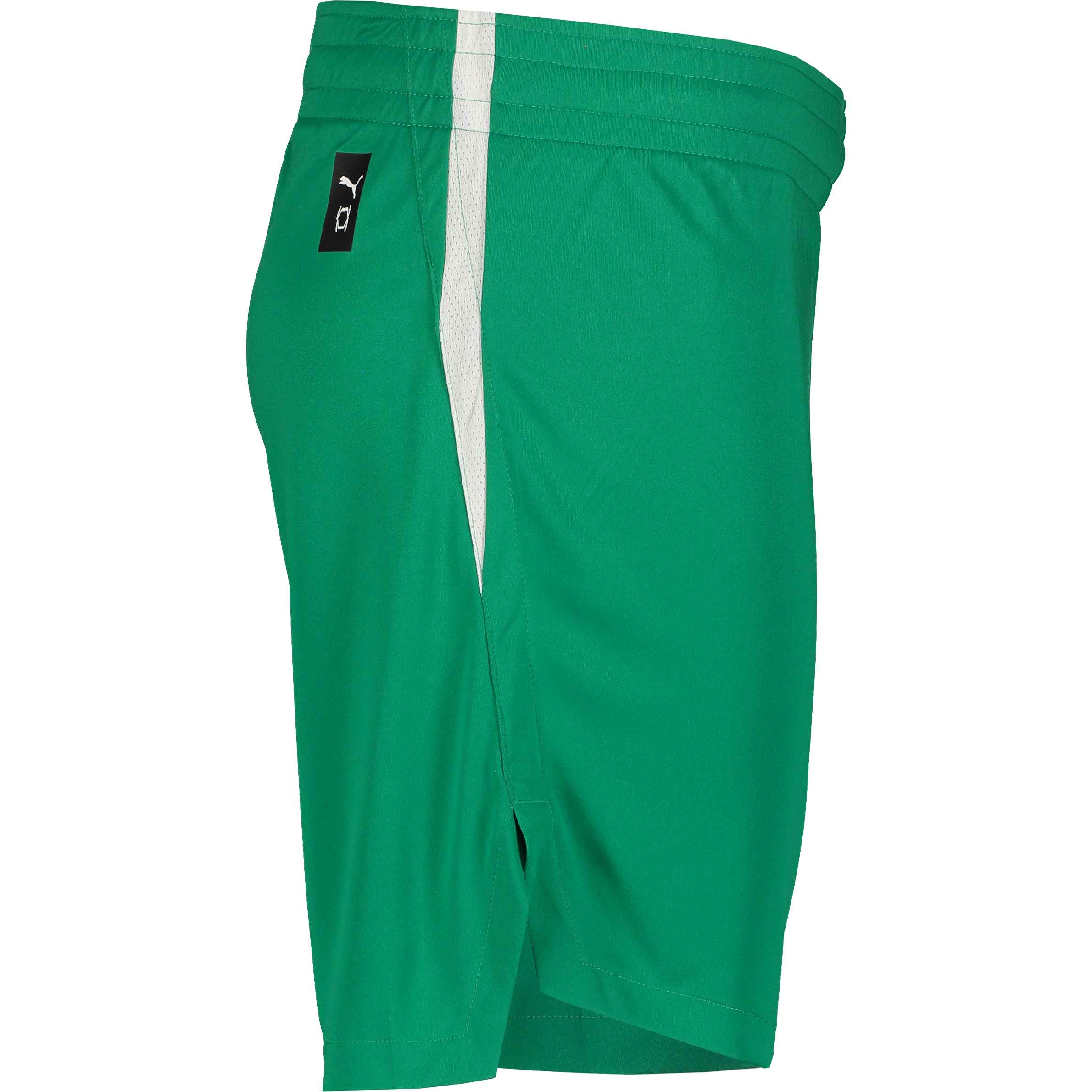 PUMA, TEAMJAWS STARTER SHORTS