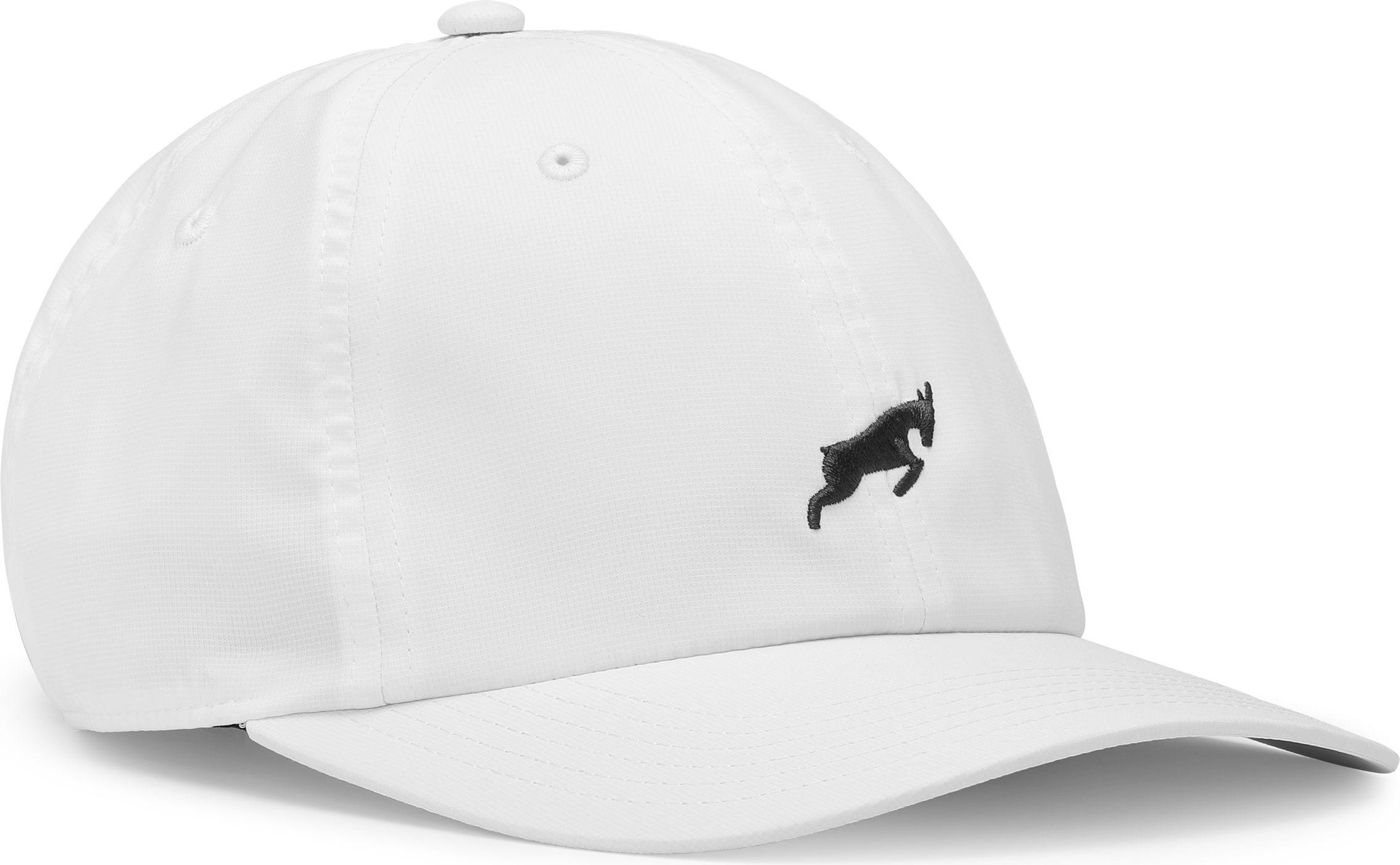 
GOATLANE, 
DAD CAP RIPSTOP, 
Detail 1
