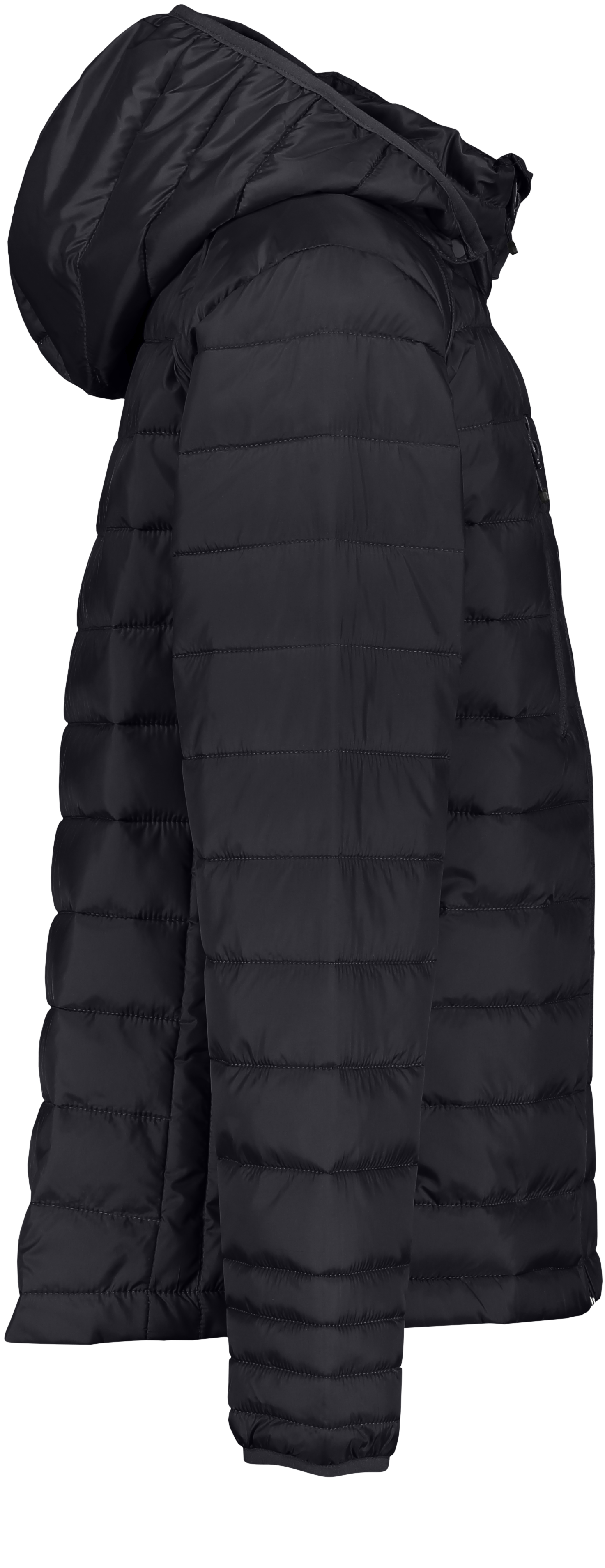 CLIQUE, Hudson Jkt Jr