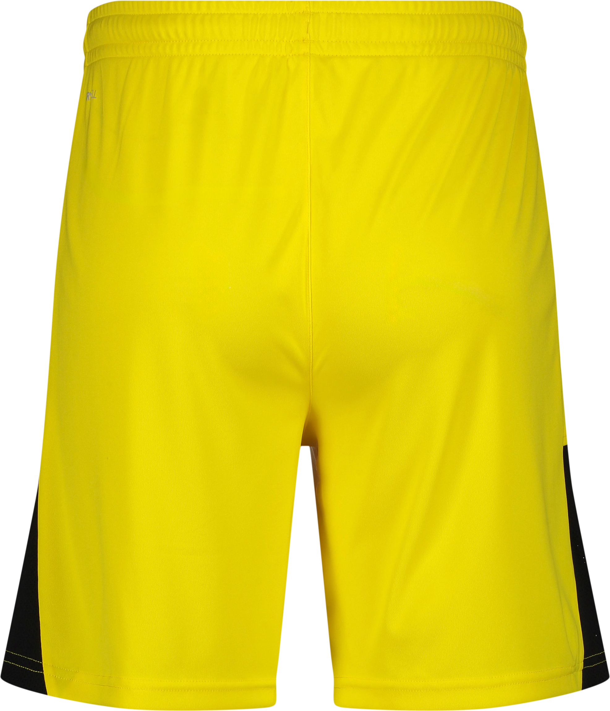 PUMA, TEAMLIGA26 SHORTS JR