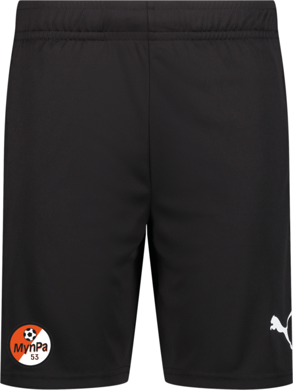 
PUMA, 
TEAMLIGA TRAINING SHORTS, 
Detail 1
