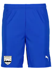 391942102101 PUMA T Goal Shorts 391942102101 PUMA T Goal Shorts Standard Small1x1