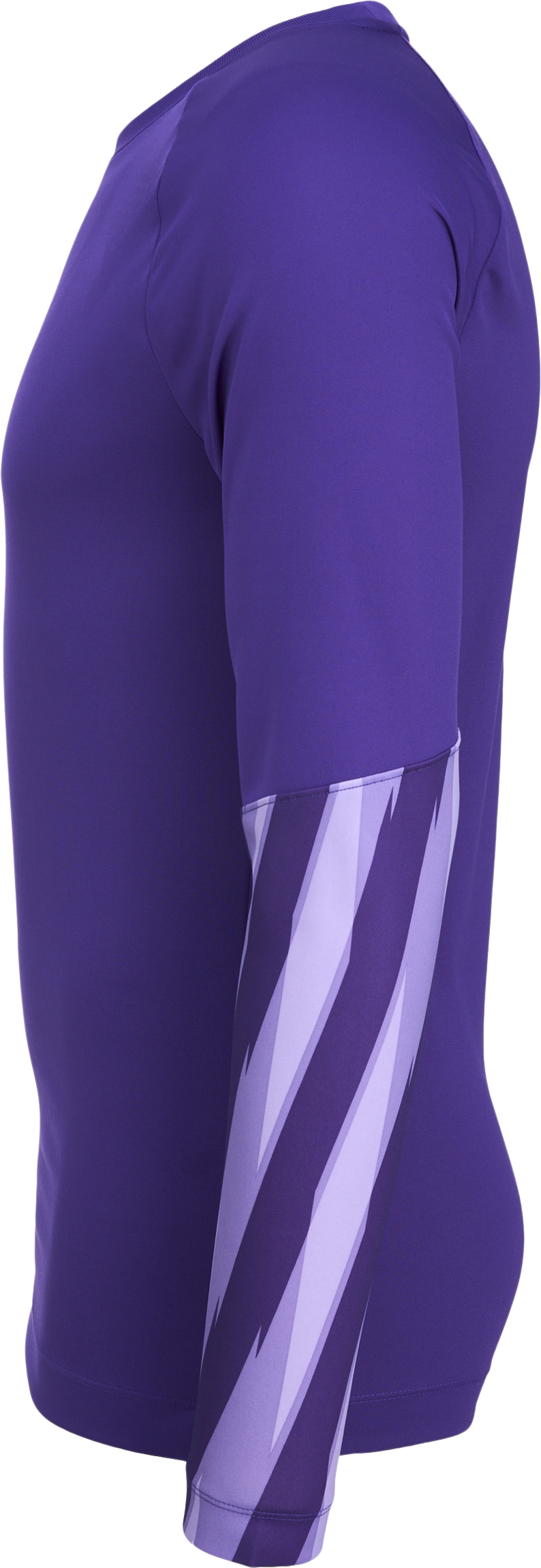 NIKE, PARK V GK LS JSY JR