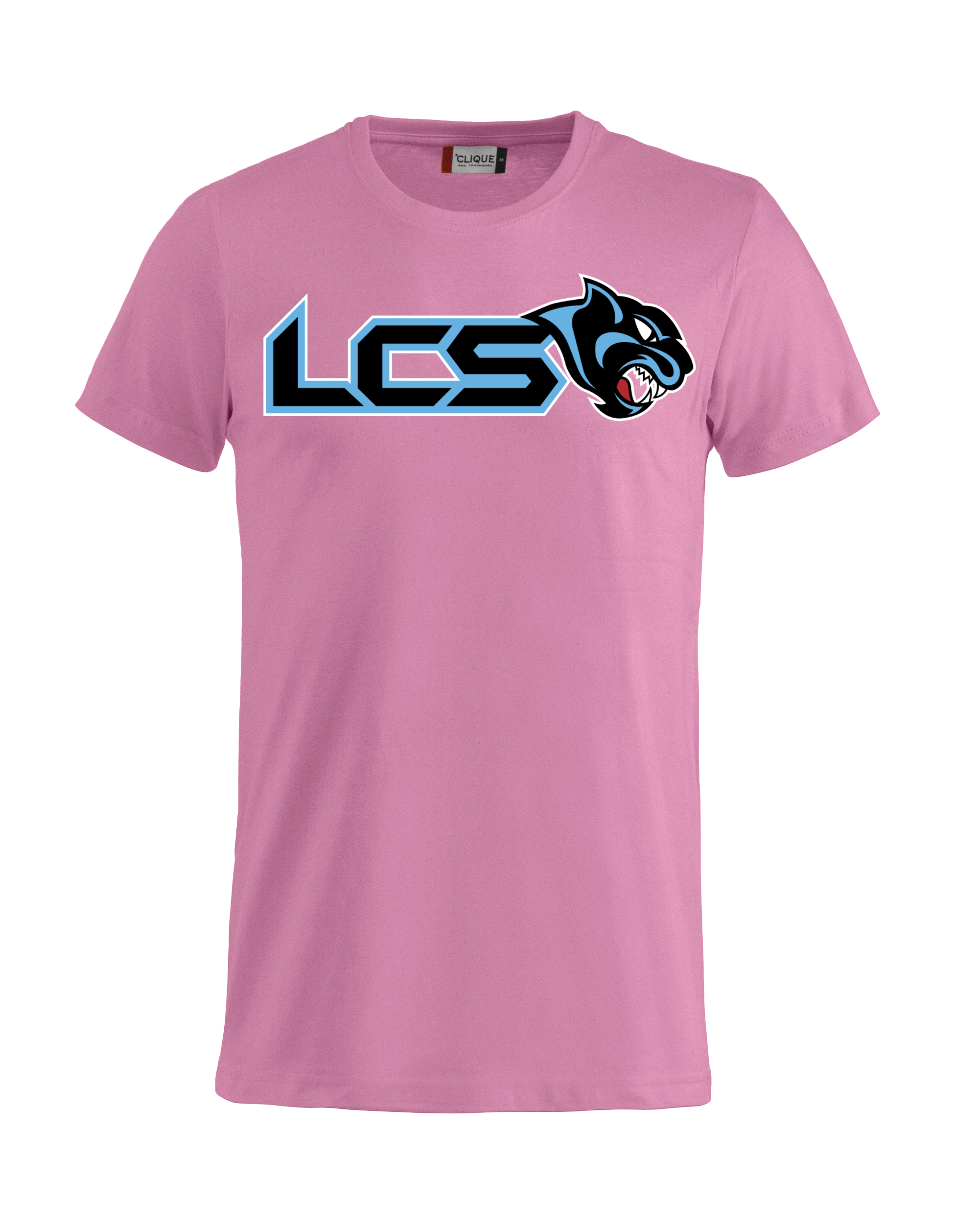 
CLIQUE, 
Basic-T, 
Detail 1
