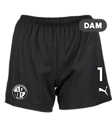 391951103101 PUMA T Goal Shorts Wmns 391951103101 PUMA T Goal Shorts Wmns Standard Small1x1