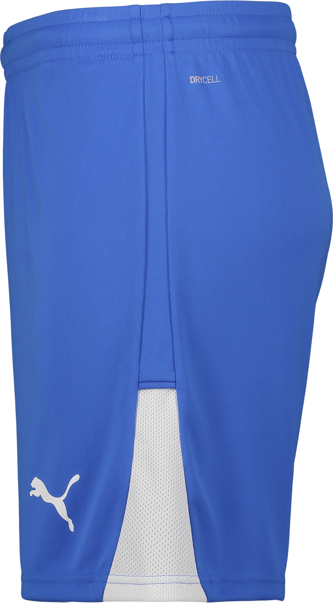 PUMA, TEAMLIGA26 SHORTS JR