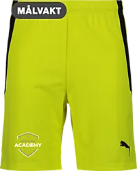 361522107101 PUMA T Liga Shorts 361522107101 PUMA T Liga Shorts Standard Small1x1