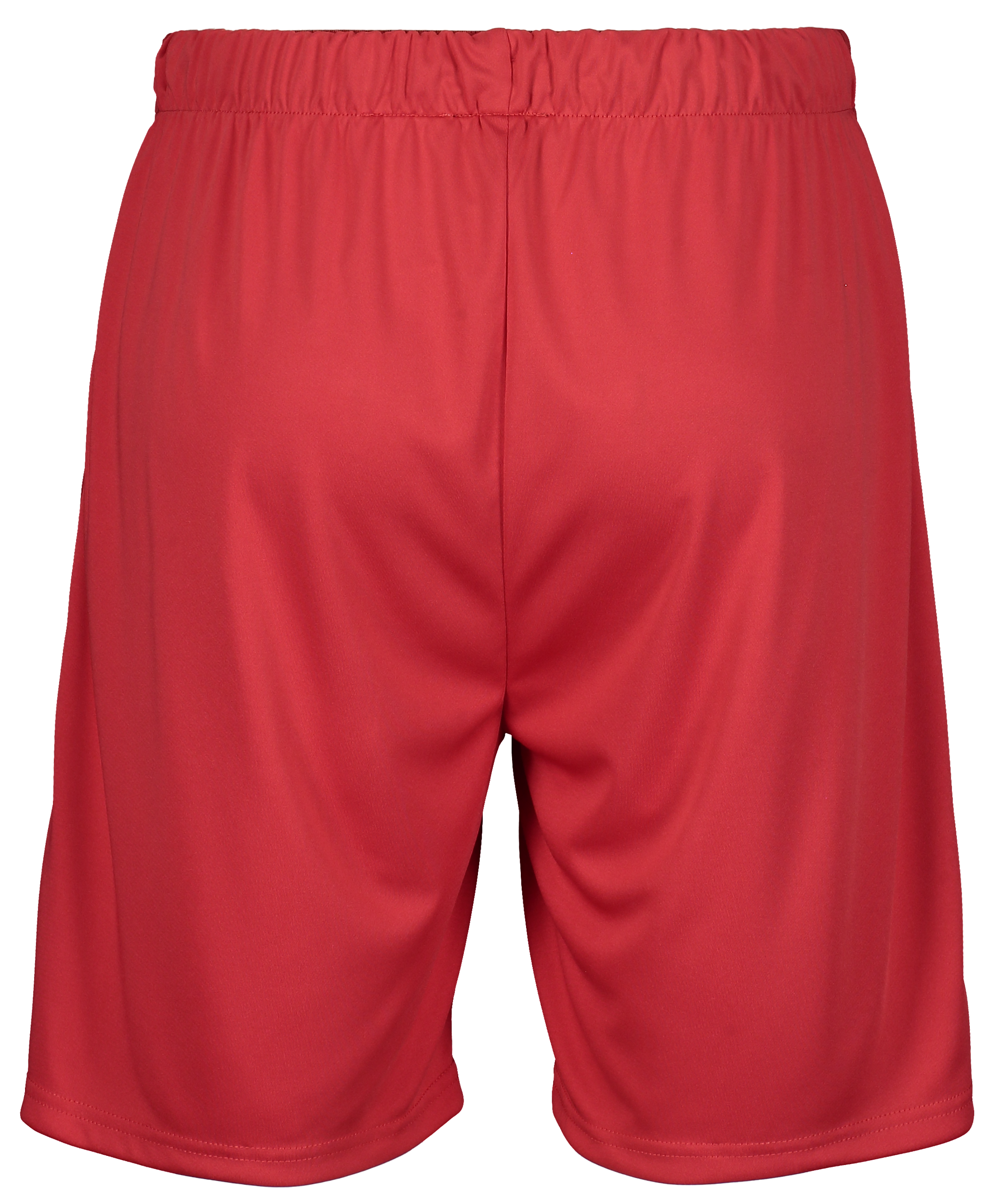 SALMING, Core 22 Match Shorts