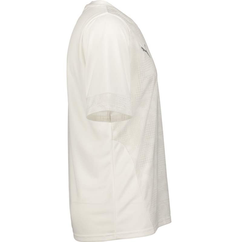 PUMA, Teamcup Training Jersey