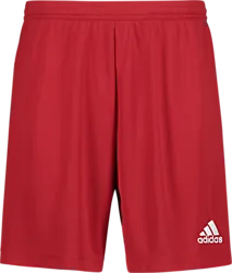 358904104101 ADIDAS Ent22 Shorts 358904104101 ADIDAS Ent22 Shorts Standard Small1x1