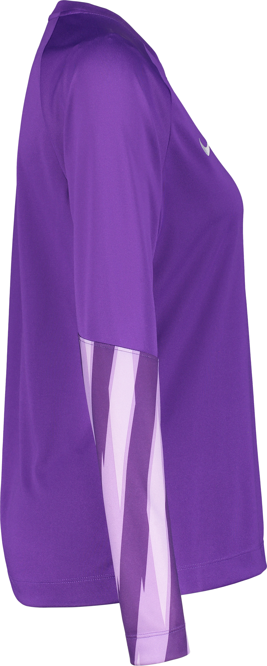 NIKE, PARK V GK LS JSY W