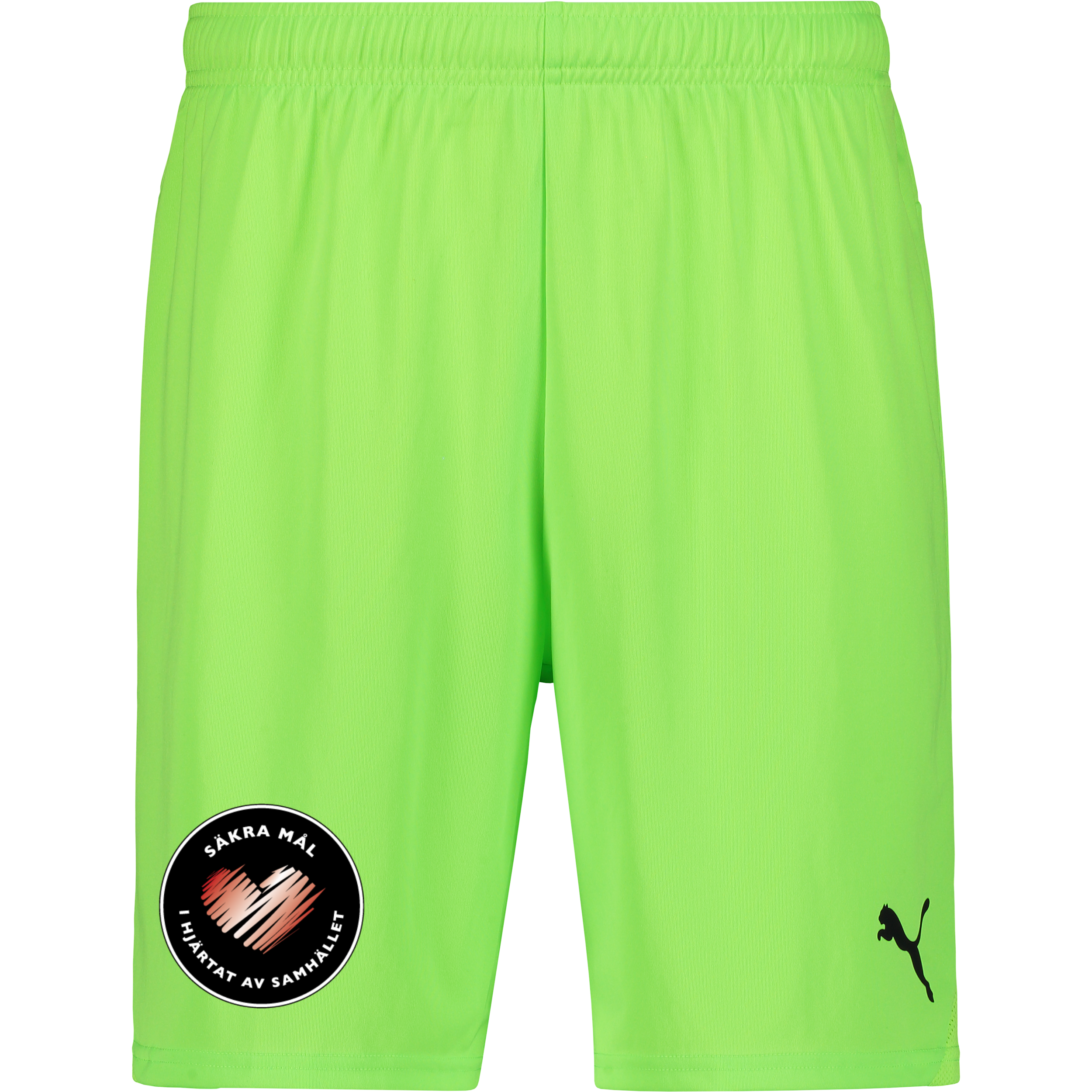 
PUMA, 
T Goal Shorts, 
Detail 1
